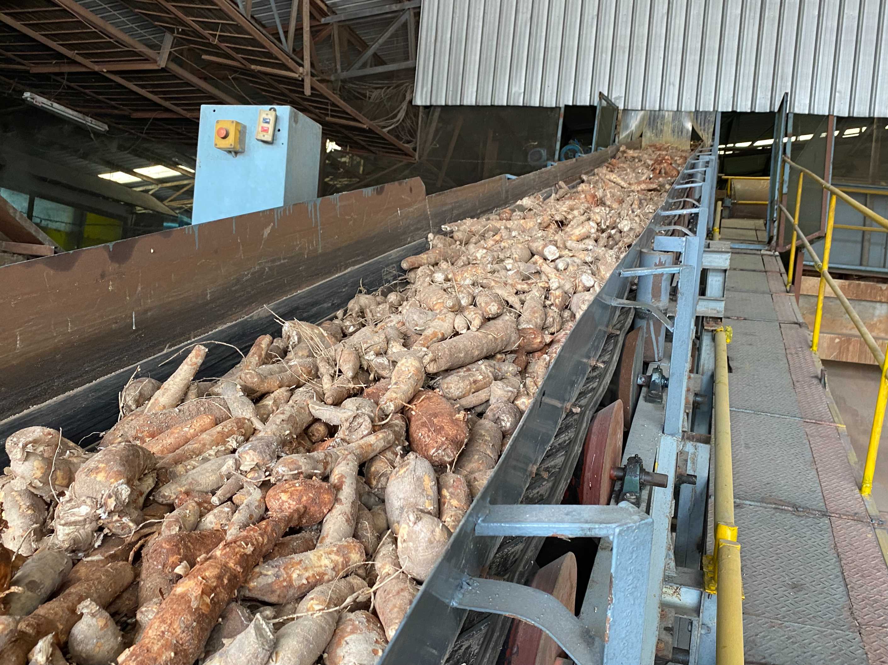 Cassava Processing