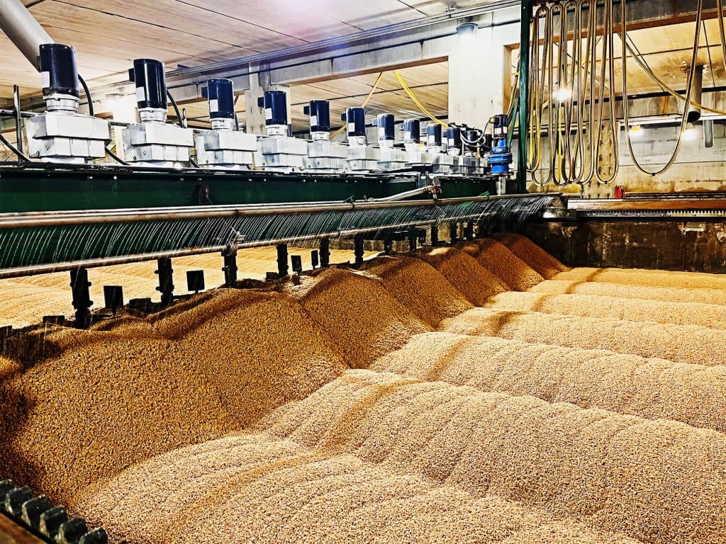 Grain Processing